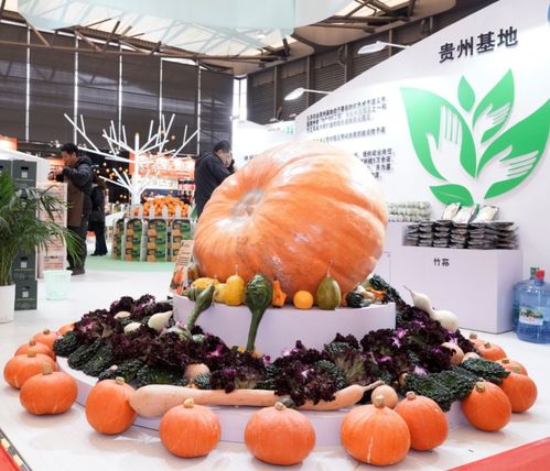 2019第六屆上海國際現代農業品牌暨特色優質農產品貿易博覽會綜述 農產品貿易新機遇